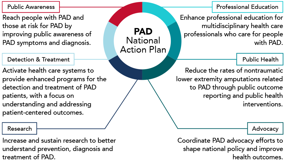 A chart outlining the National Action Plan