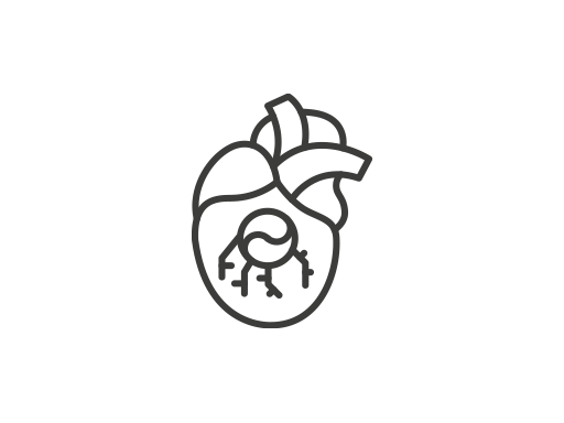 structural and valvular icon