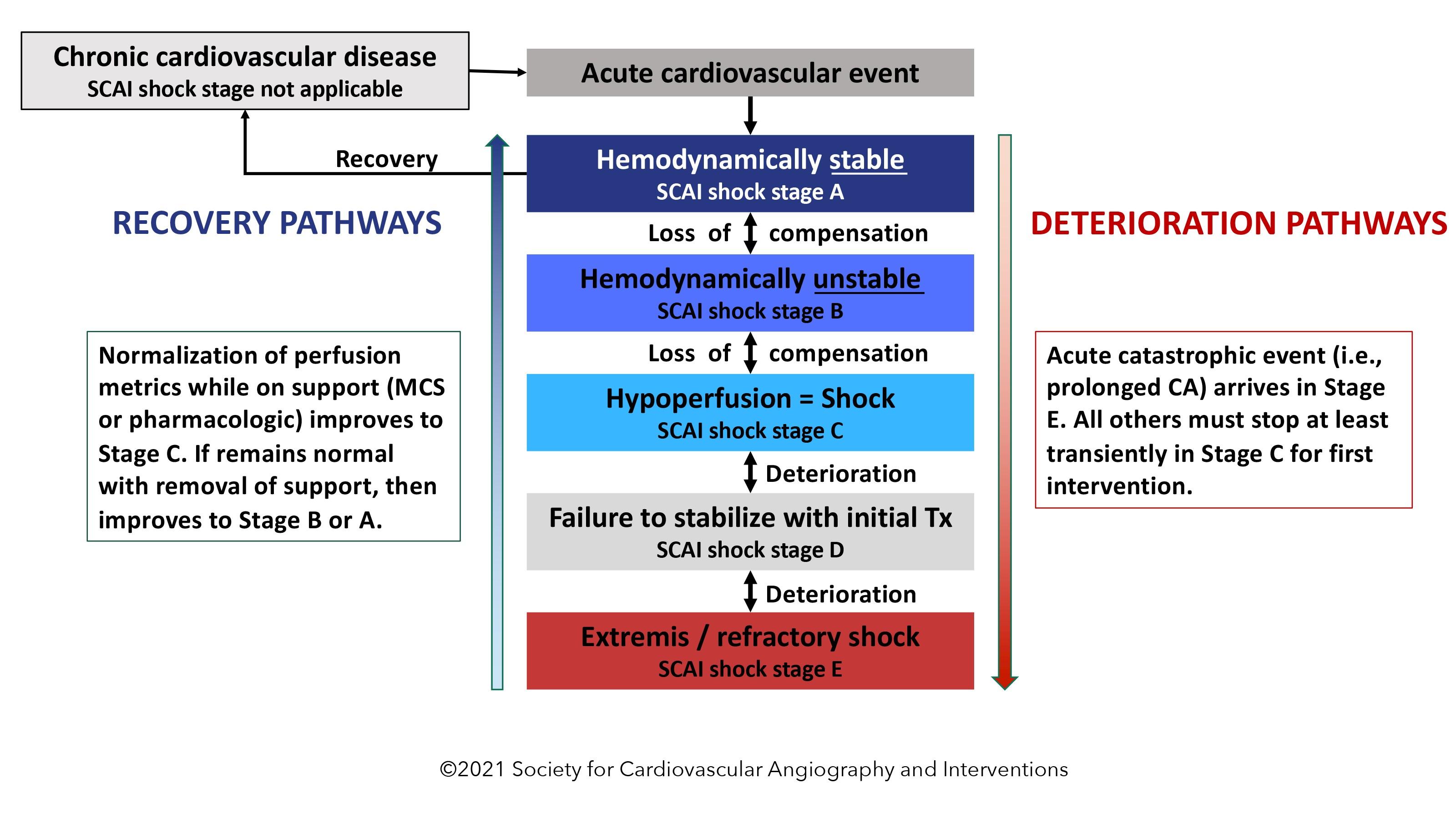 SCAI SHOCK Classification Recover and Deterioration Pathways