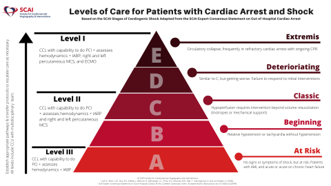 SCAI Expert Consensus Statement on Out-of-Hospital Cardiac Arrest | SCAI