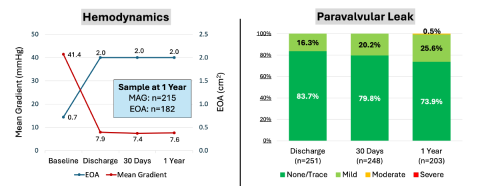 Two graphs